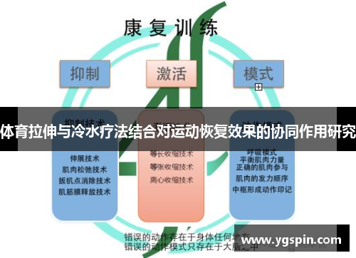 体育拉伸与冷水疗法结合对运动恢复效果的协同作用研究